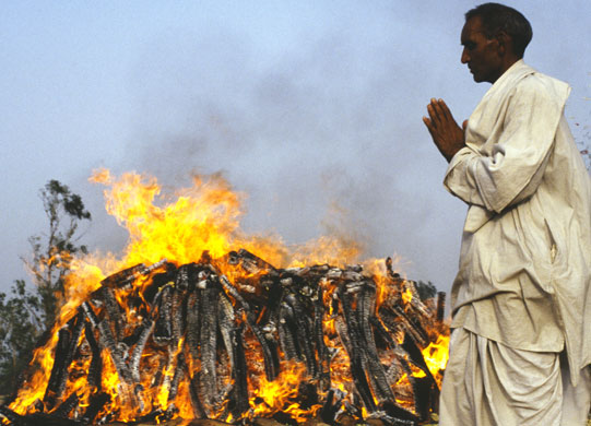 Tamil Tigers surrender: Funeral of Rajiv Gandhi 1991