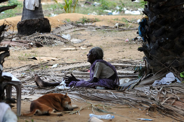 Tamil Tigers surrender: An elderly Sri Lankan Tamil civilian sits among the rubble of a village