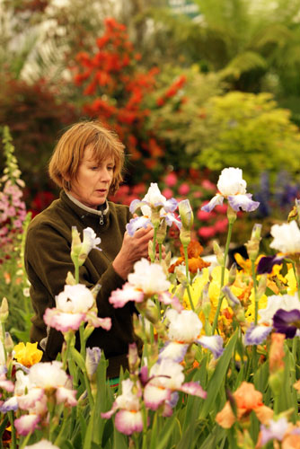 Chelsea Flower Show: A gardener puts the finishing touches to her garden