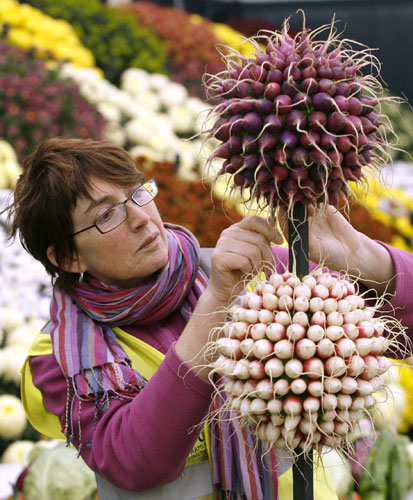 Chelsea Flower Show: A worker arranges radishes at the Jersey Farmers Union vegetable garden