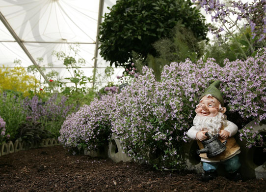 Rhs Chelsea Flower Show. Chelsea flower show: rhs