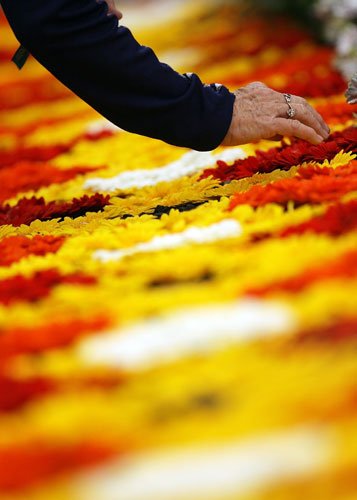 Chelsea flower show: rhs chelsea flower show opens to the press