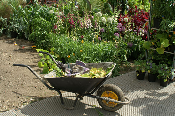 Key at Chelsea: Eden at The Chelsea Flower Show