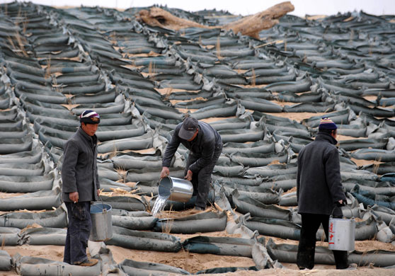 Minqin China: China - Gansu - Afforestation