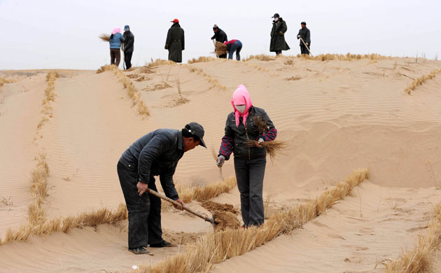 Minqin China: China - Gansu - Afforestation
