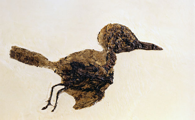 Grube Messel pit: Fossil of Small Bird from Messel Site
