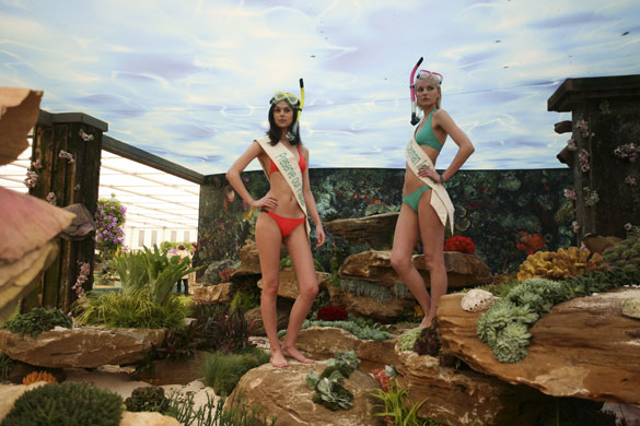 Chelsea Flower Show: Underwater Reef Garden