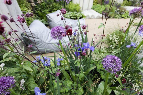 Chelsea Flower Show: The Fenchurch Garden