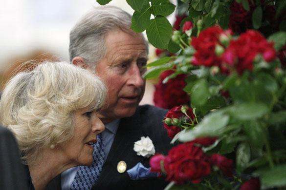 Chelsea Flower Show: The Duchess of Cornwall and Prince Charles at the Chelsea Flower Show 2009