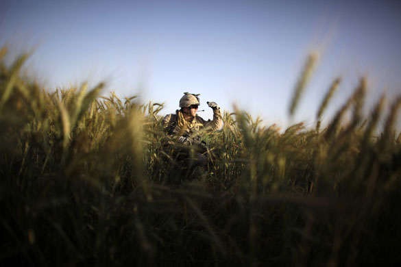 24 hours: A Canadian soldier advances in a wheat field in Afghanistan 