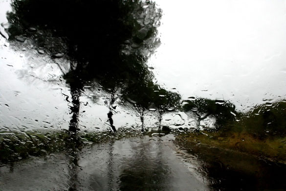 Abbas Kiarostami: ABBAS KIAROSTAMI RAIN (27) 2007 