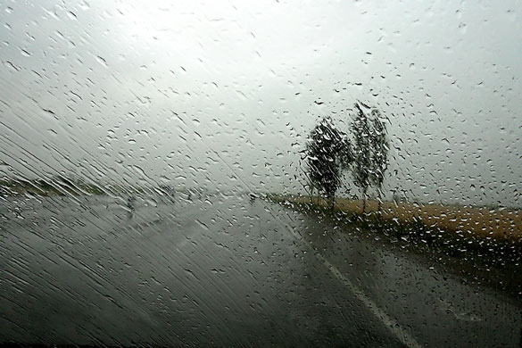 Abbas Kiarostami: ABBAS KIAROSTAMI RAIN (23) 2007