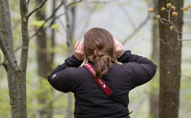 Week in Wildlife: Listening for birds at New Jersey Audubon's annual World Series of Birding