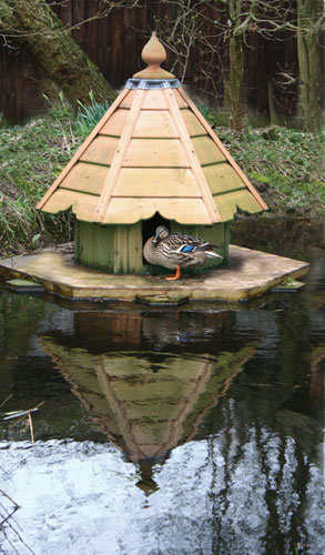 In pictures: Must-have duck houses for every budget | Environment | The