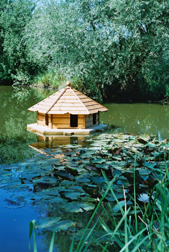 Duck Houses: The  Big Canopy