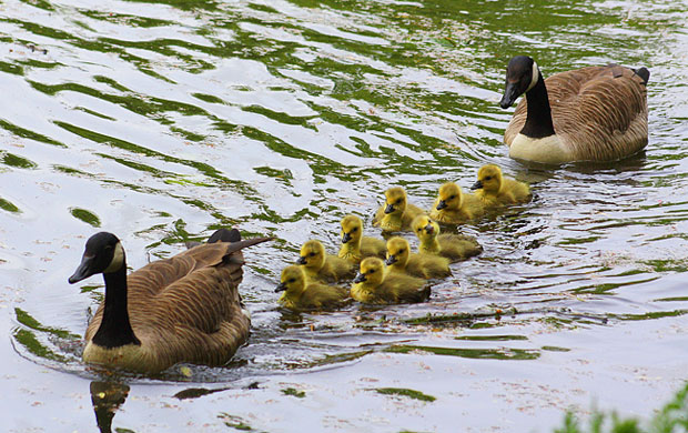 In pictures: age: Will Hart