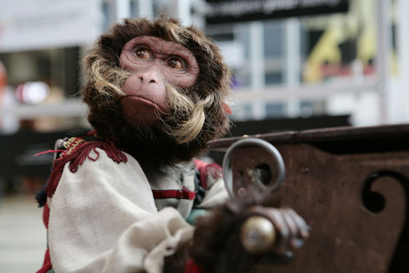 26 May 2009: Singapore: Mono, a remote controlled electronic toy monkey