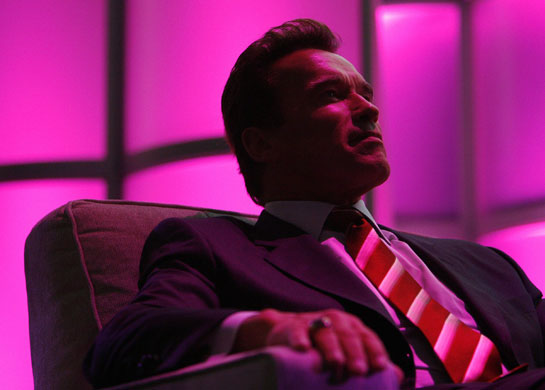 Arnold Schwarzenegger: Arnold Schwarzenegger in California 2008