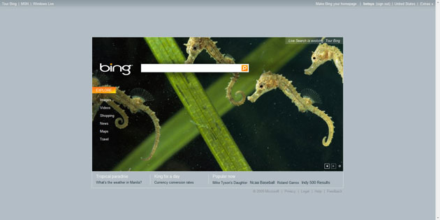 Microsoft Bing
