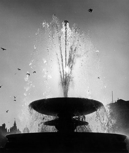 Trafalgar Square fountain: 1973: Pigeons hover over one of the fountains
