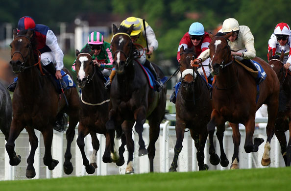 24sport: Sandown Races