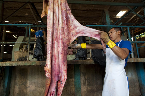 Amazon deforestation: Tannery do Brasil tannery, Cáceres city, Mato Grosso, Brazil