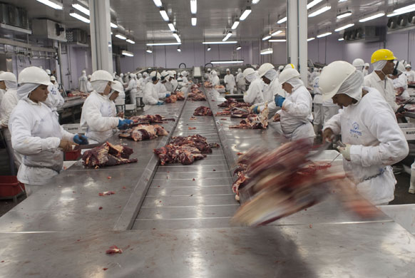 A Slaughterhouse