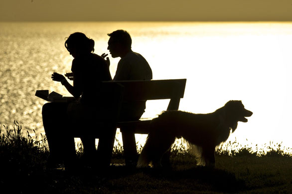 British sunshine: A couple and their dog take enjoy the sun set in Woolacombe, North Devon