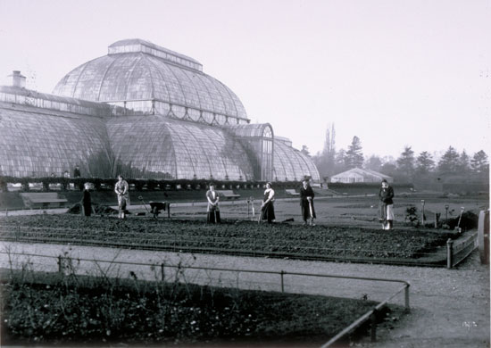 Kew Gardens: Workers outside the Palm House