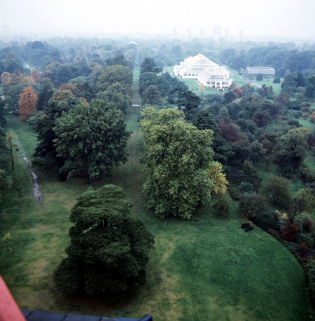 Kew Gardens: 1982: Kew Gardens as seen from the Pagoda