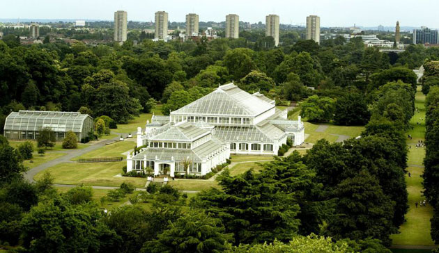 Kew Gardens: 2003: A view of the Gardens
