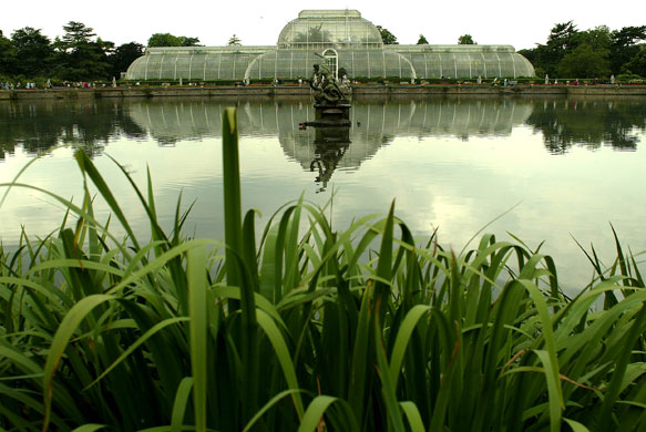 Kew Gardens: 2003: The Palm House