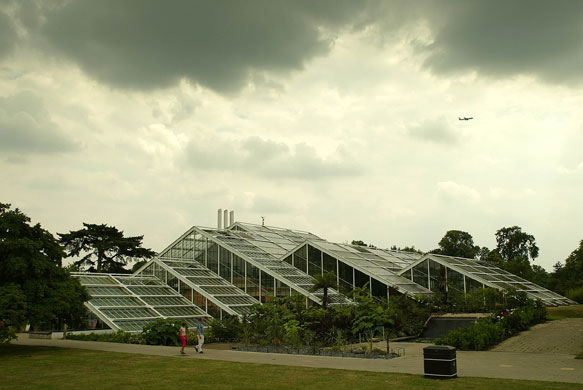 Kew Gardens: 2003: Princess of Wales Conservatory