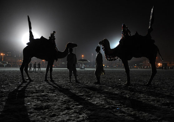 24 hours in pictures : camel rides in Karachi . Pakistan