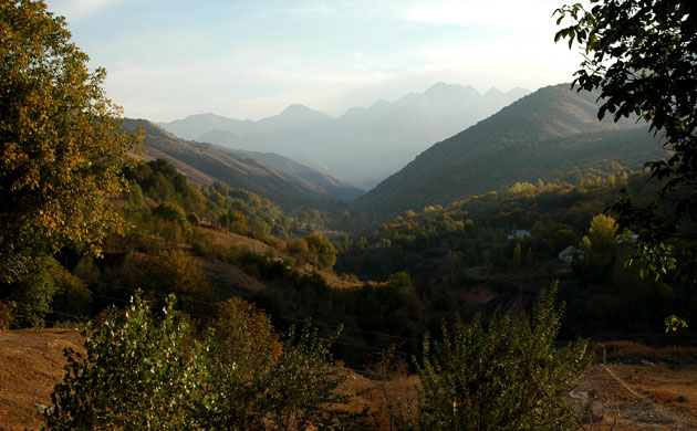 Trees Red List: Endangered trees in Kyrgystan