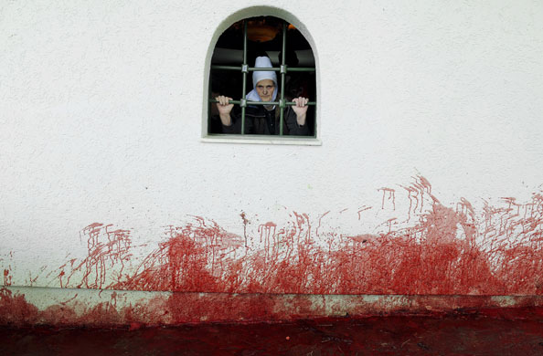 24 hours in pictures: traditional sheep slaughter in Kosovo