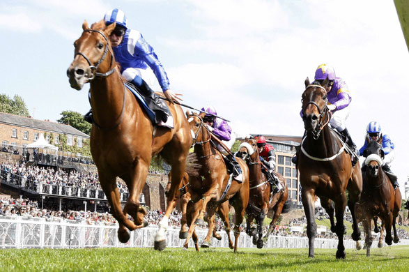 24sport: Richard Hills on Fareer win