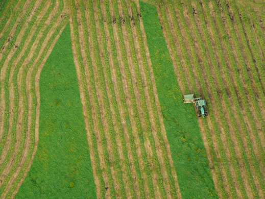 In Pictures Bird-eye view: Trevor Earthy