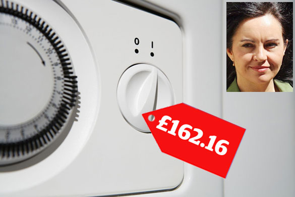 MP expenses: MP expenses