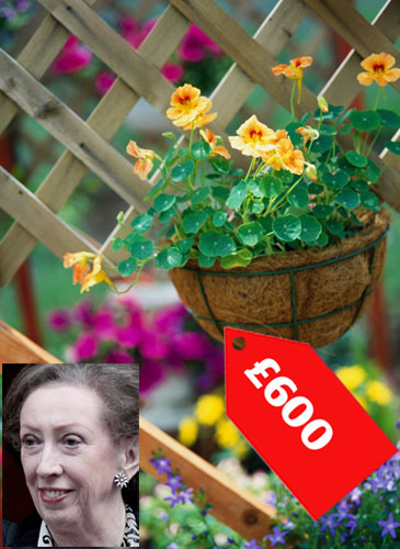 MP expenses: MP expenses