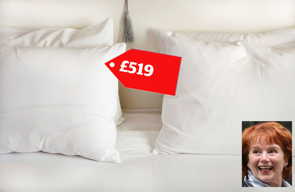 mp expenses: mp expenses