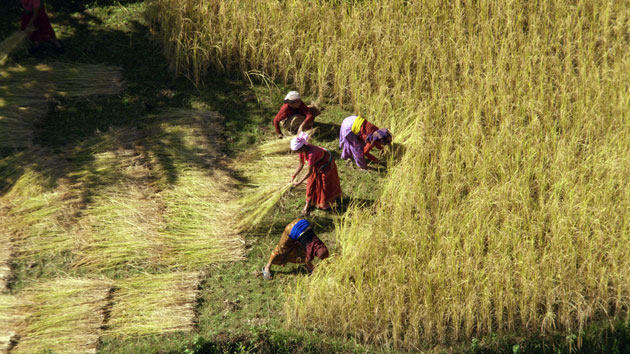 Home: Yann Arthus Bertrand and Luc Besson: Valley of the Dades, Morocco 