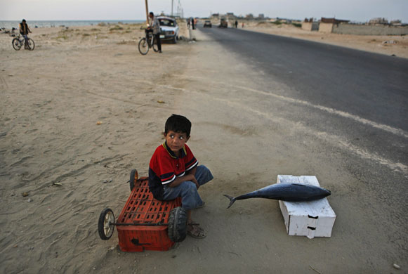 24 hours: Deir Al Bahlah, Gaza Strip: A young boy tries to sell a fish