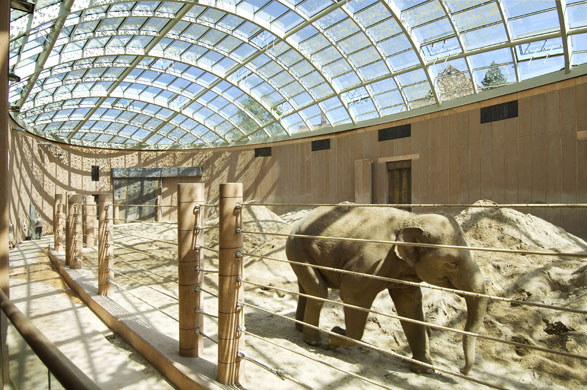 Animal architecture: The Elephant House designed by Foster + Partners at Copenhagen Zoo, Denmark