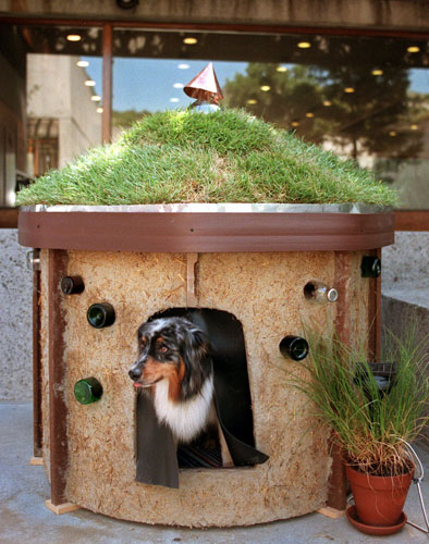 Animal architecture: Dog Haus: Architecture Unleashed