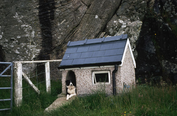 Animal architecture: A sheepdogs sits in his doghouse in a kennel on a Scottish farm