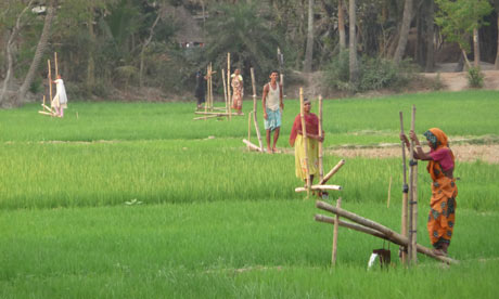 Ashden Awards for Sustainable Energy, International Development Enterprises India 