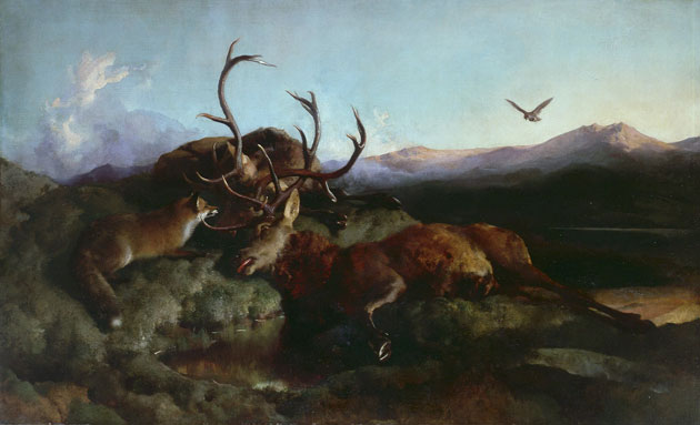 Endless Forms: Charles Darwin, Natural Science, and the Visual Arts, Edwin Landseer
