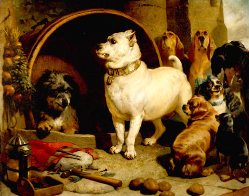 Endless Forms: Charles Darwin, natural science and the visual arts Edwin Landseer