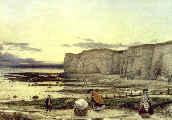 Endless Forms: Charles Darwin, natural science and the visual arts William Dyce